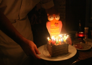 Giant Owl on cake